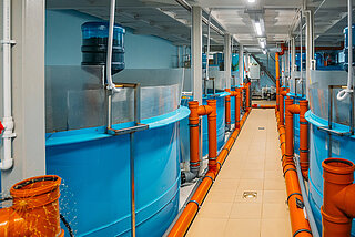 Water treatment in aquacultures (onshore).
