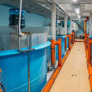 Water treatment in aquacultures (onshore).
