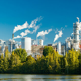 Water treatment in the pulp and paper industry.
